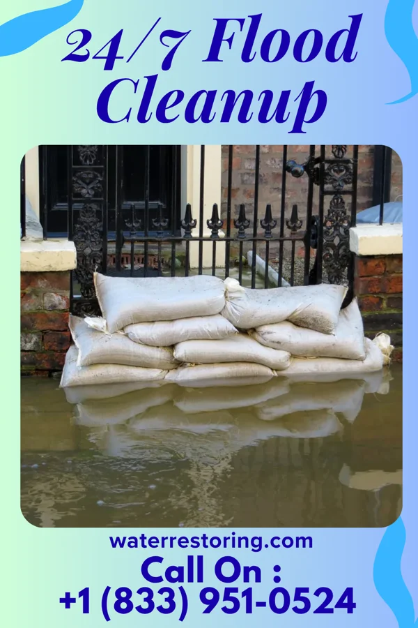 24/7 Flood Cleanup in Pippa Passes, KY