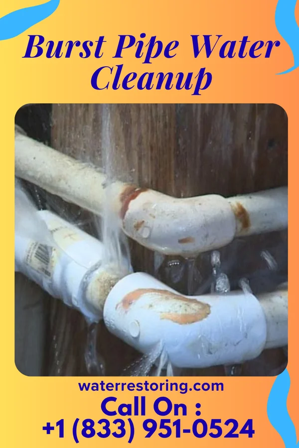 Burst Pipe Water Cleanup in Pippa Passes, KY